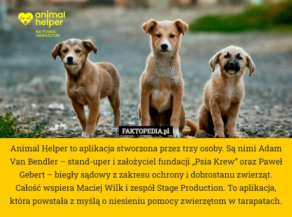 
    Animal Helper to aplikacja stworzona przez trzy osoby. Są nimi Adam Van