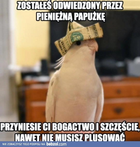 
    Pieniężna papużka