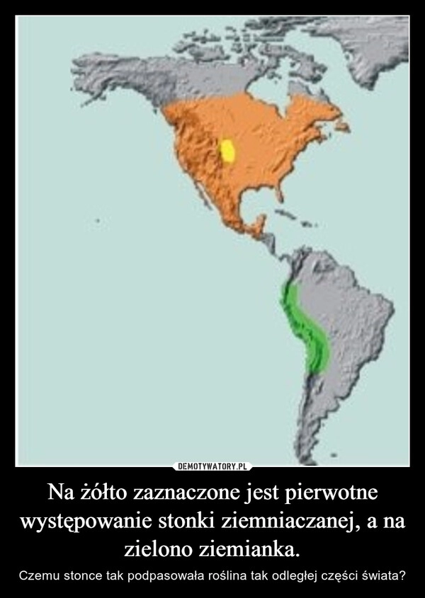 
    Na żółto zaznaczone jest pierwotne występowanie stonki ziemniaczanej, a na zielono ziemianka.