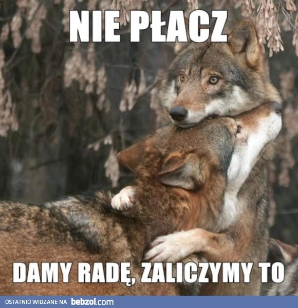 Bądź twardy