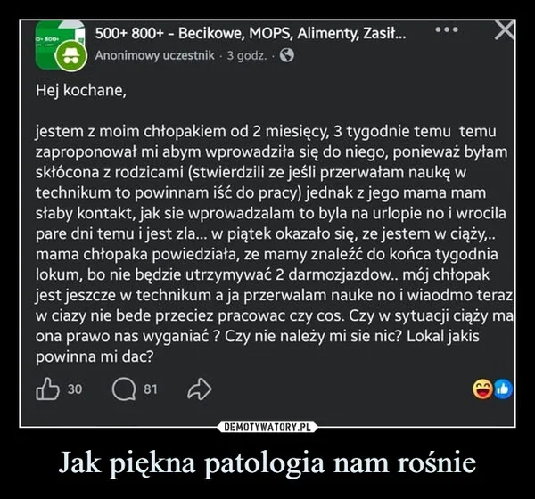 
    Jak piękna patologia nam rośnie