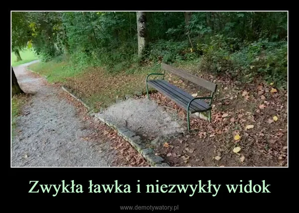
    Zwykła ławka i niezwykły widok