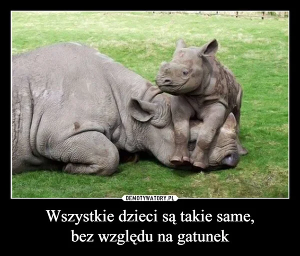 Wszystkie dzieci są takie same, bez względu na gatunek