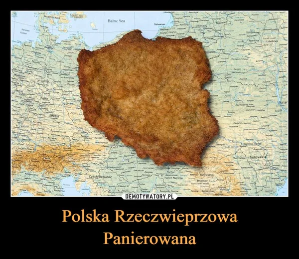 
    Polska Rzeczwieprzowa Panierowana