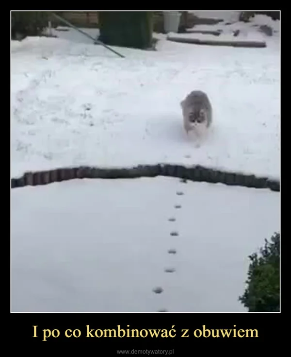 
    I po co kombinować z obuwiem