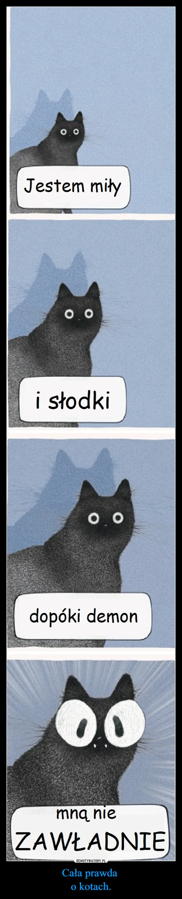 
    Cała prawda o kotach.