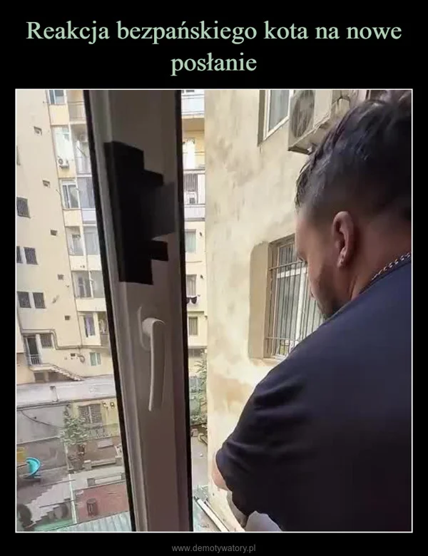 
    Reakcja bezpańskiego kota na nowe posłanie
