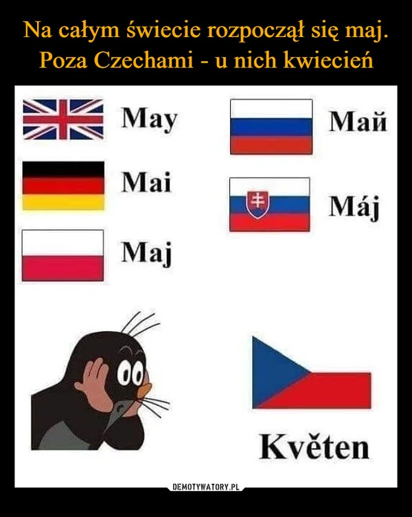 
    Na całym świecie rozpoczął się maj. Poza Czechami - u nich kwiecień