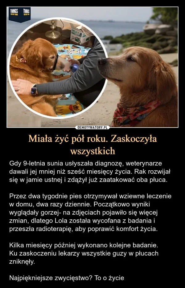
    Miała żyć pół roku. Zaskoczyła wszystkich