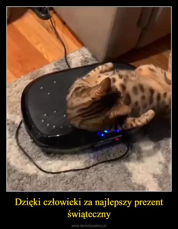 
    Dzięki człowieki za najlepszy prezent świąteczny