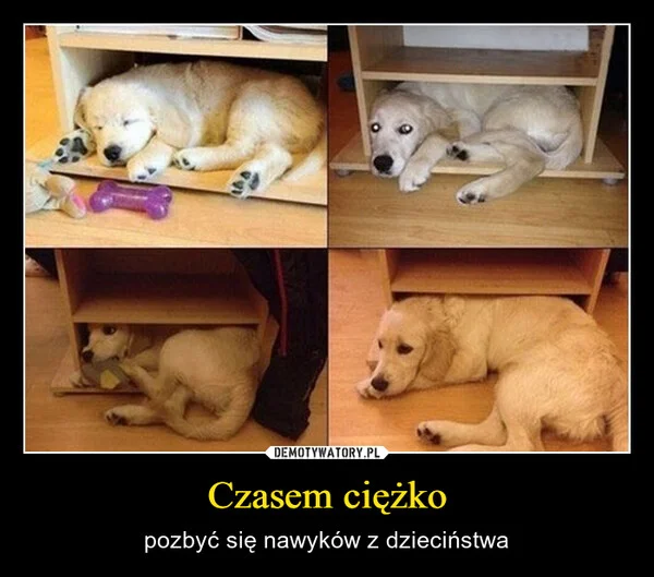
    Czasem ciężko