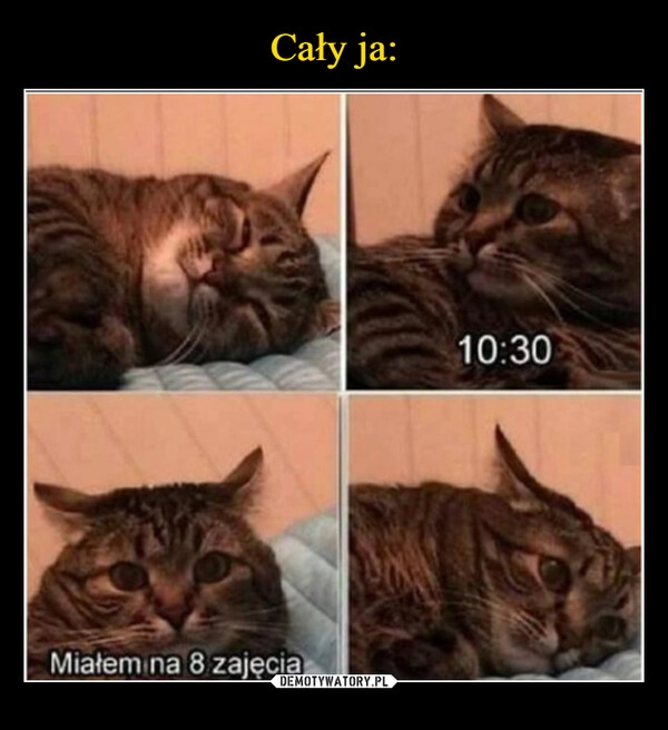 
    Cały ja: