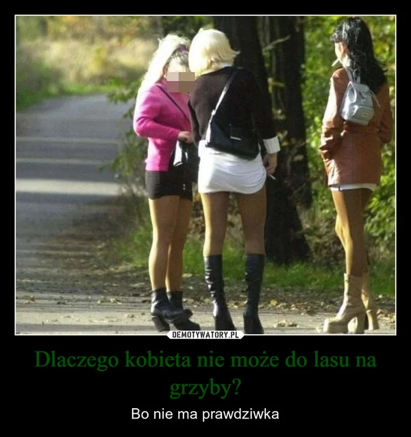 
    Dlaczego kobieta nie może do lasu na grzyby?