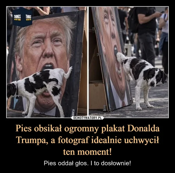 
    Pies obsikał ogromny plakat Donalda Trumpa, a fotograf idealnie uchwycił ten moment!