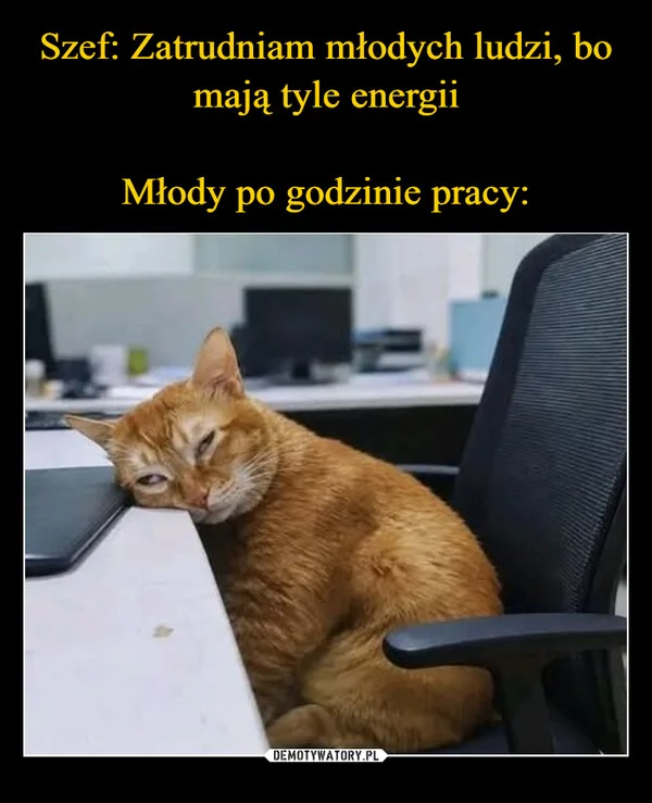 
    Szef: Zatrudniam młodych ludzi, bo mają tyle energii Młody po godzinie pracy: