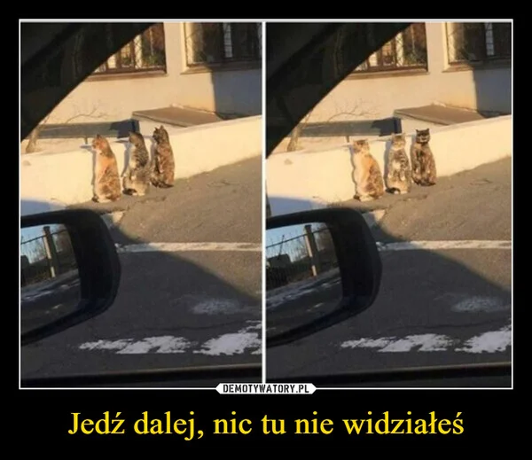 
    Jedź dalej, nic tu nie widziałeś