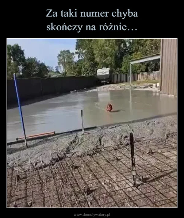 
    Za taki numer chyba skończy na różnie…