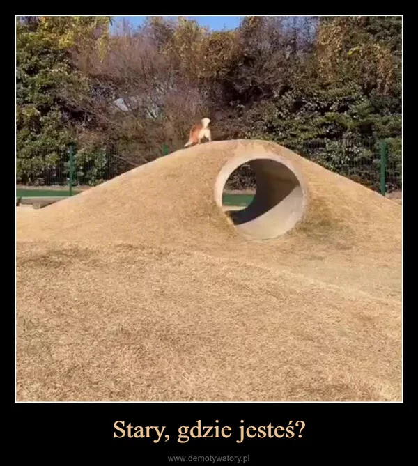 
    Stary, gdzie jesteś?