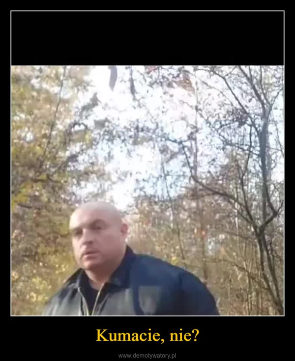 
    Kumacie, nie?