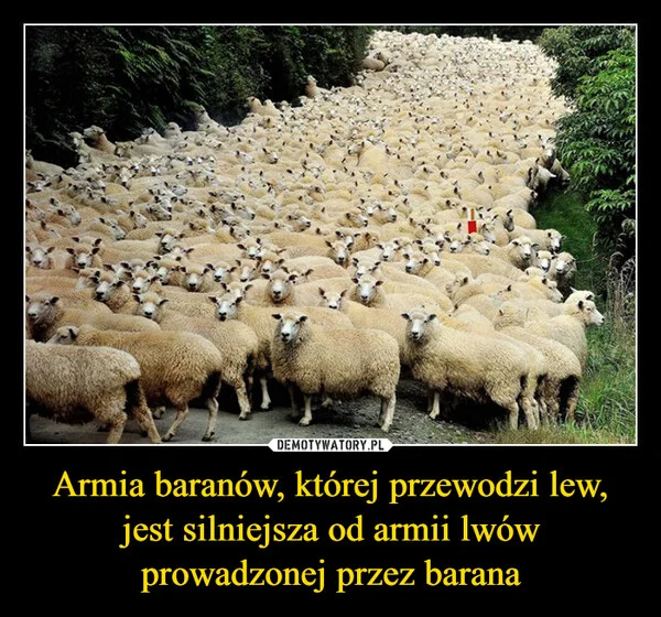 
    Armia baranów, której przewodzi lew, jest silniejsza od armii lwów prowadzonej przez barana