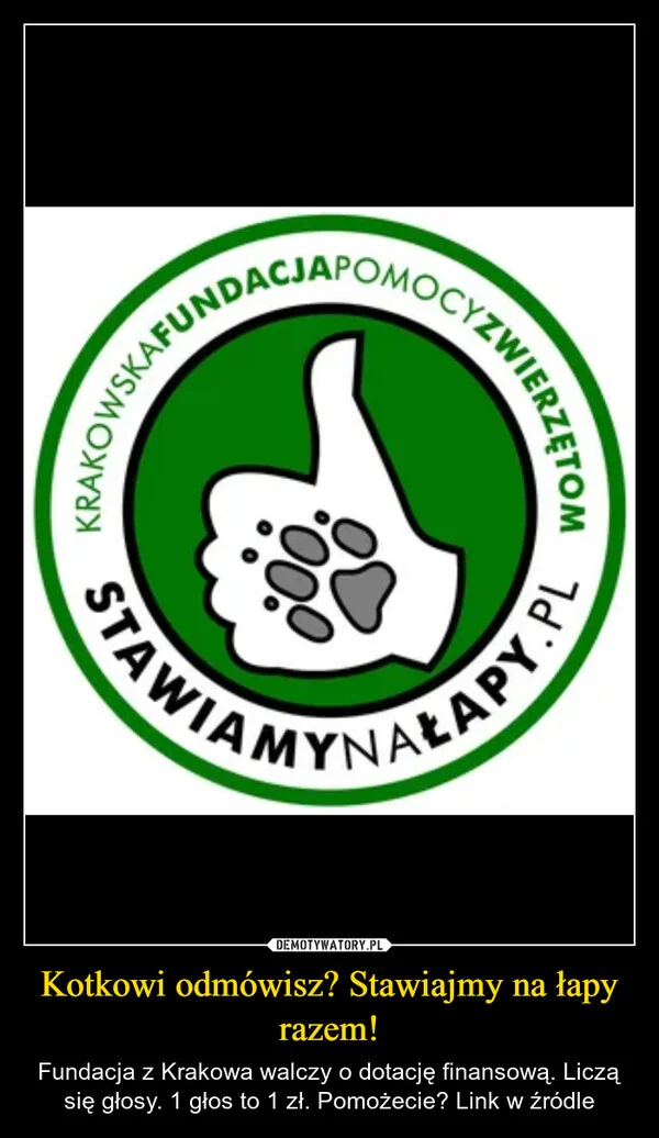 
    Kotkowi odmówisz? Stawiajmy na łapy razem!