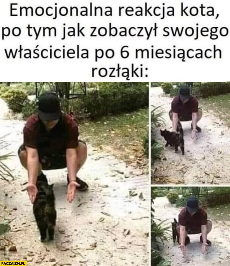 
    Emocjonalna reakcja kota po tym jak zobaczył swojego właściciela po 6 miesiącach rozłąki przeszedł obok