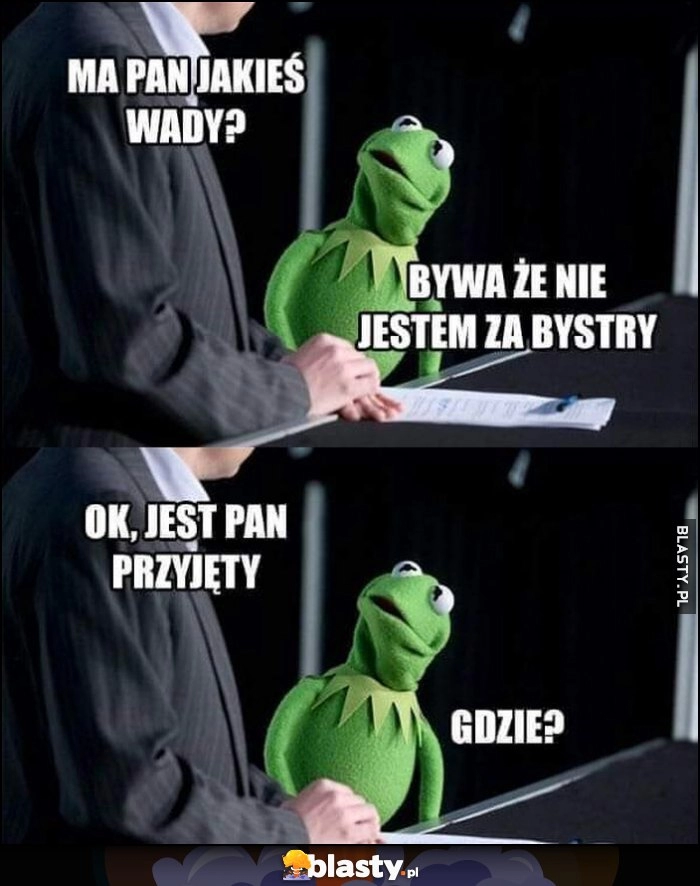 
    Kermit ma pan jakieś wady? Bywa, że nie jestem za bystry. Ok, jest pan przyjęty, gdzie?