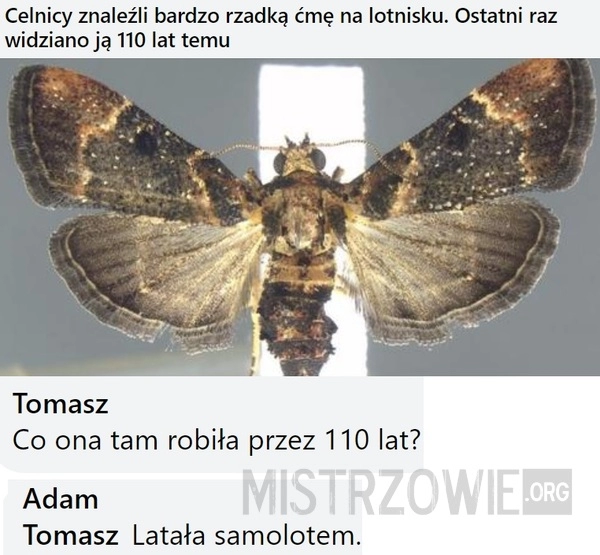 
    Ćma