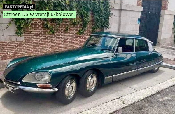 
    Citroen DS w wersji 6-kołowej.