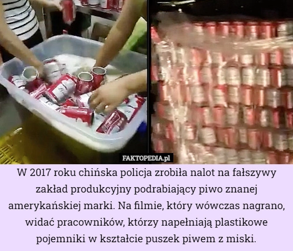 
    W 2017 roku chińska policja zrobiła nalot na fałszywy zakład produkcyjny