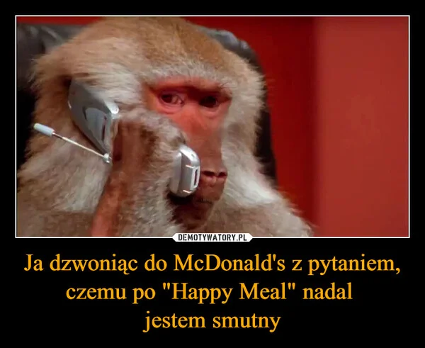 
    Ja dzwoniąc do McDonald's z pytaniem, czemu po 