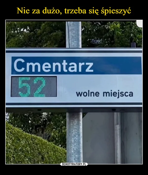 
    Nie za dużo, trzeba się śpieszyć