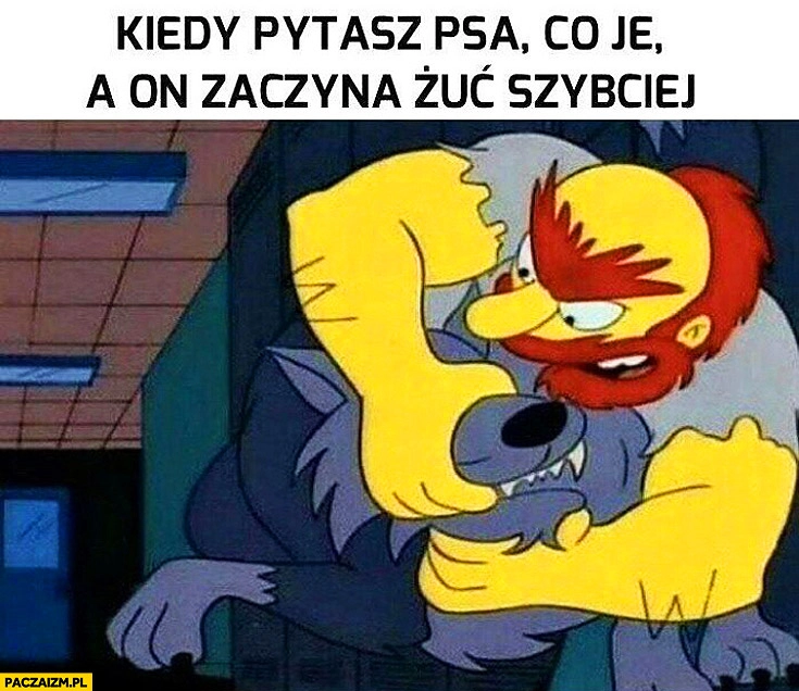 
    Kiedy pytasz psa co je, a on zaczyna szybciej żuć. Otwiera psu pysk