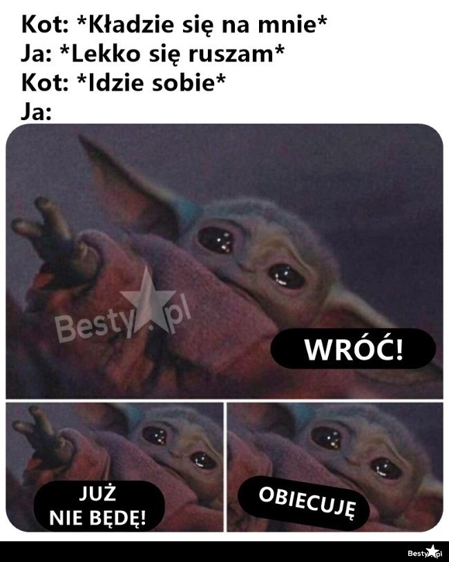 
    No nie idź 