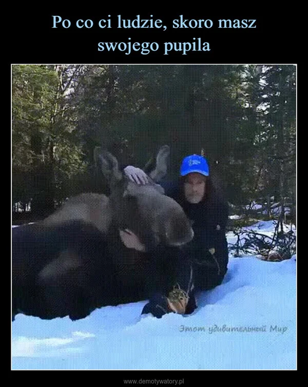 
    Po co ci ludzie, skoro masz swojego pupila
