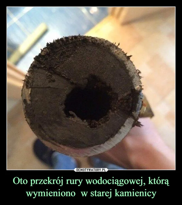 
    Oto przekrój rury wodociągowej, którą wymieniono w starej kamienicy