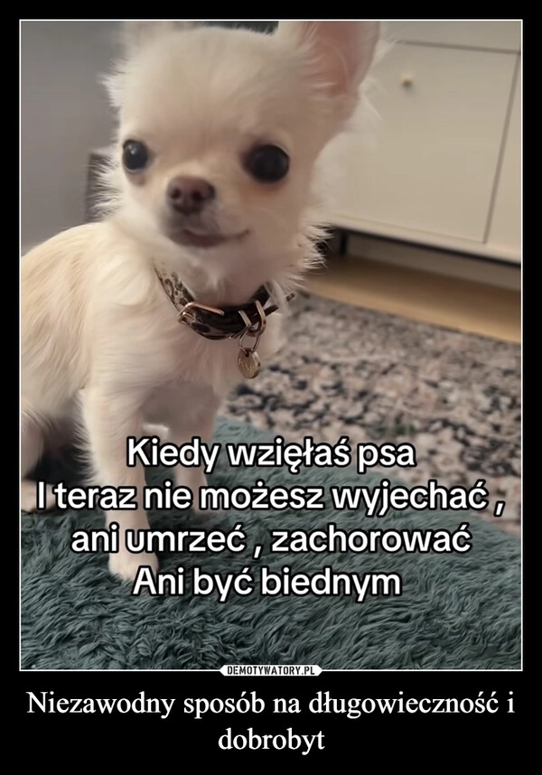 
    Niezawodny sposób na długowieczność i dobrobyt