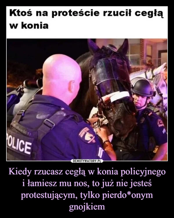 
    Kiedy rzucasz cegłą w konia policyjnego i łamiesz mu nos, to już nie jesteś protestującym, tylko pierdo*onym gnojkiem