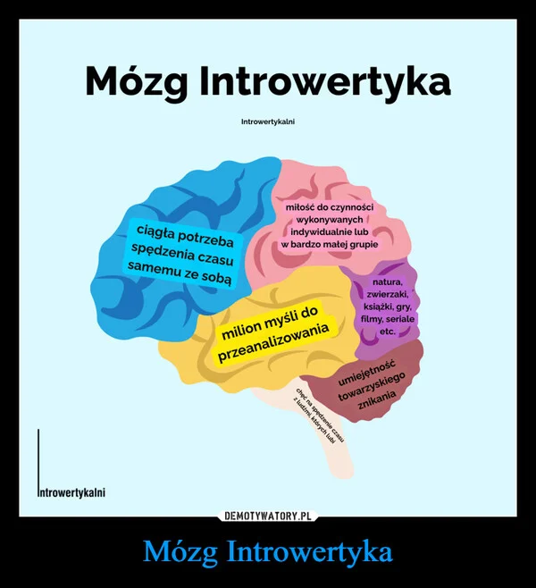 Mózg Introwertyka