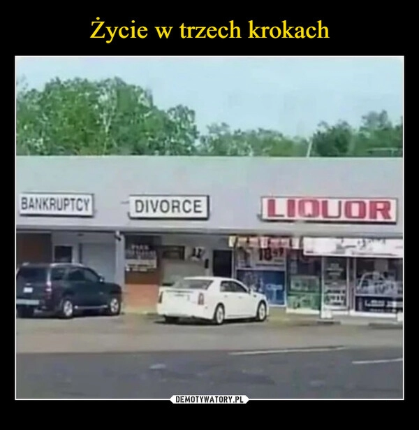 
    Życie w trzech krokach