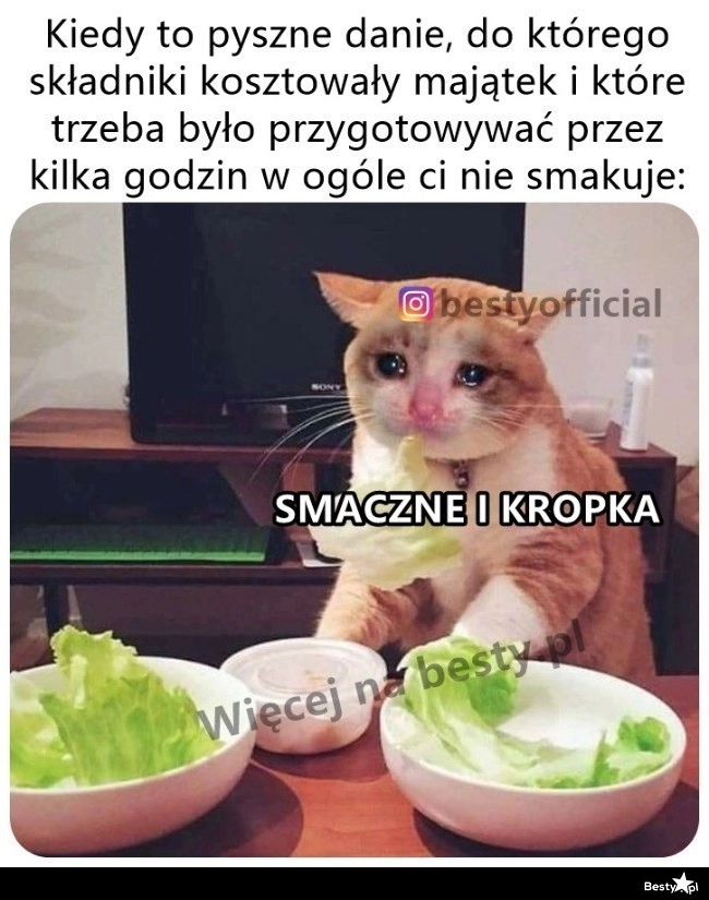 
    Trzeba zjeść 