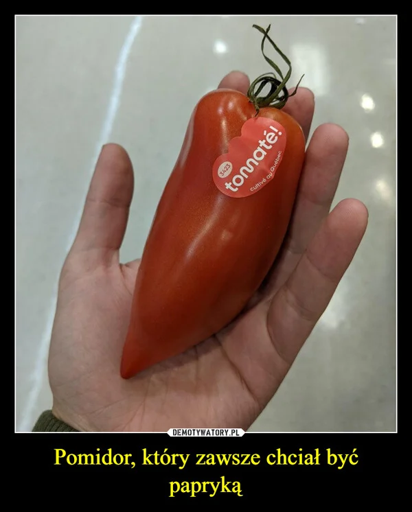 
    Pomidor, który zawsze chciał być papryką