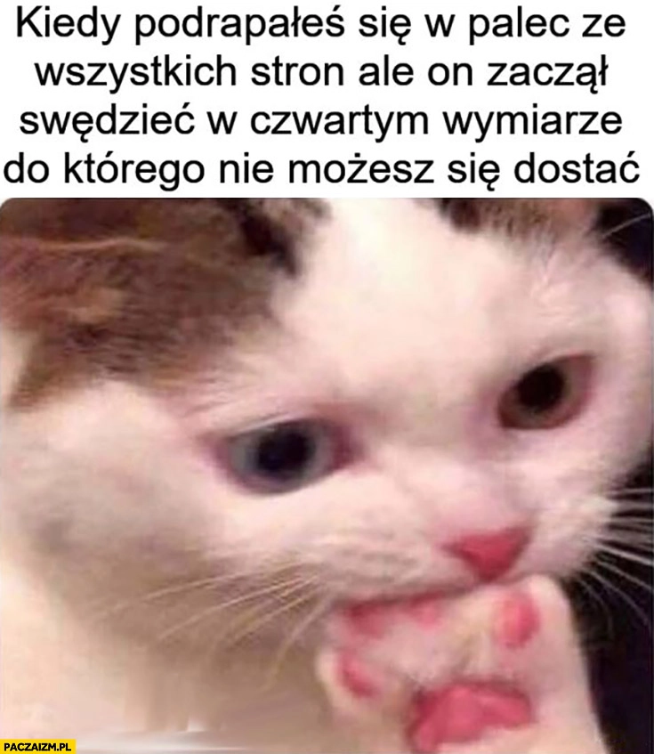 
    Kiedy podrapałeś się w palec ze wszystkich stron ale on zaczął swędzieć w czwartym wymiarze do którego nie możesz się dostać kot