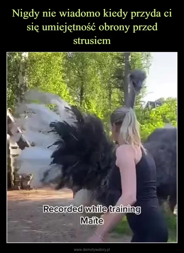 
    Nigdy nie wiadomo kiedy przyda ci się umiejętność obrony przed strusiem