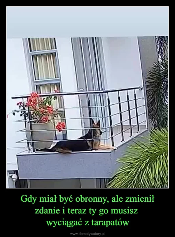 
    Gdy miał być obronny, ale zmienił zdanie i teraz ty go musisz wyciągać z tarapatów