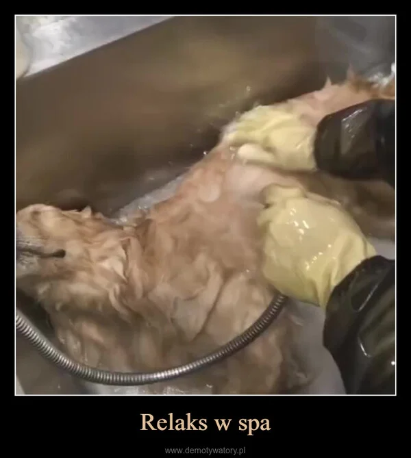 
    Relaks w spa