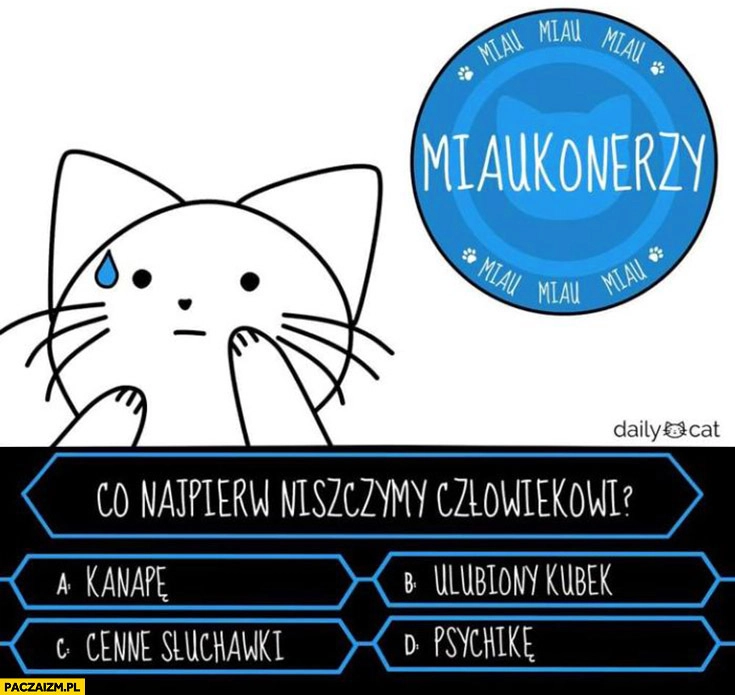 
    Kot milionerzy co najpierw niszczymy człowiekowi? Kanapę, ulubiony kubek, cenne słuchawki, psychikę