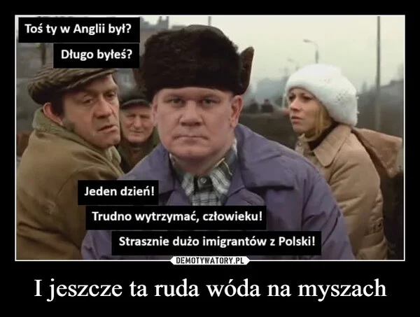 
    I jeszcze ta ruda wóda na myszach