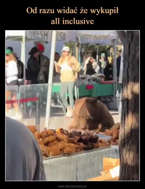 
    Od razu widać że wykupił all inclusive