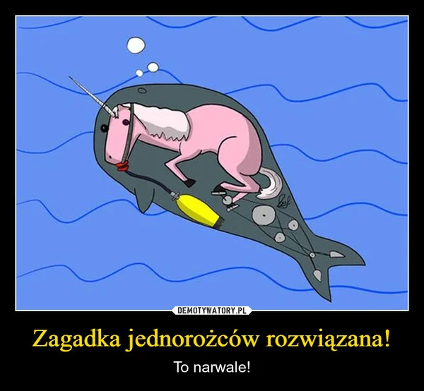 
    Zagadka jednorożców rozwiązana!